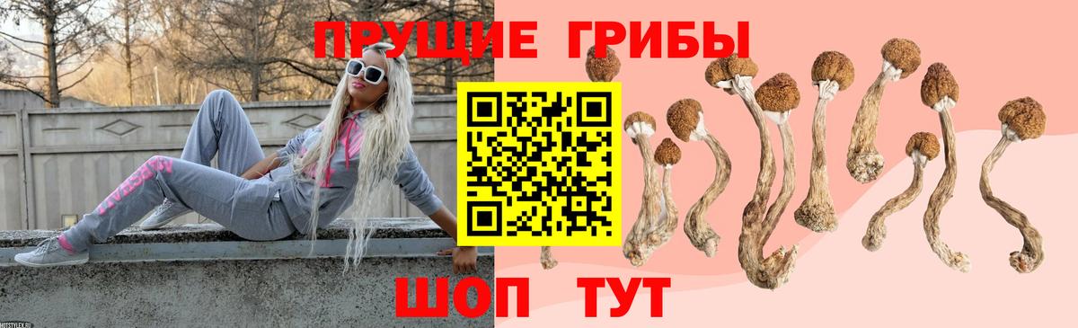 Псилоцибиновые грибы Cubensis Обнинск